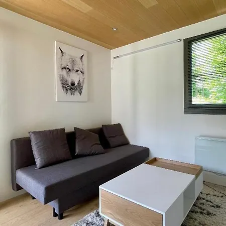 Renove Avec Terrasse Sud Idealement Situe Apartment Combloux